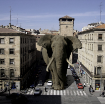 Elefantes se postulan para completar gabinete económico
