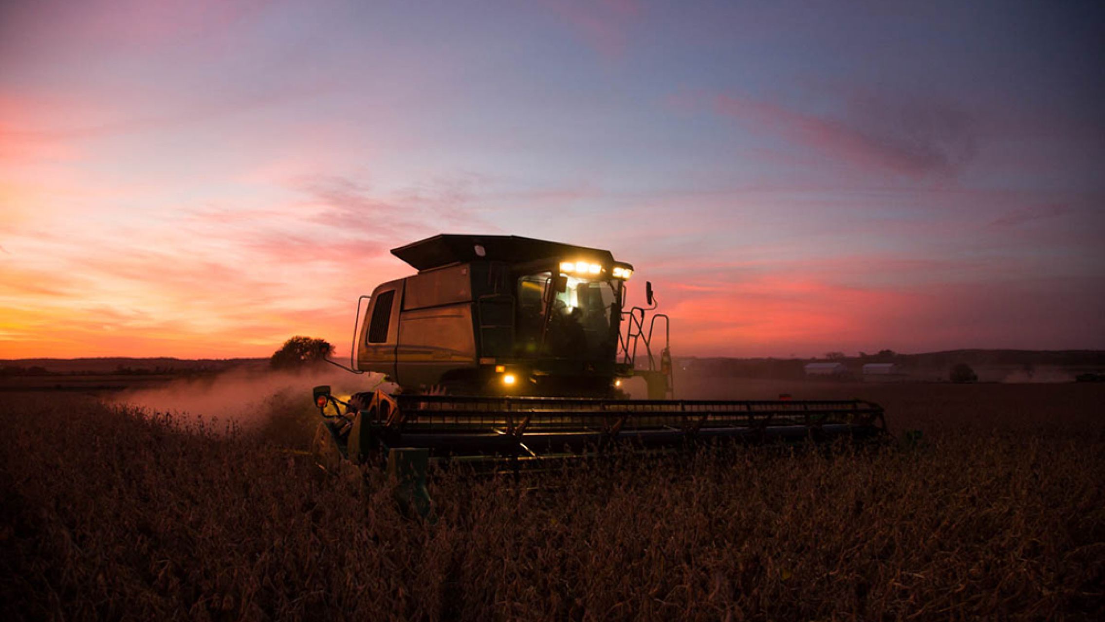 Fuerte apoyo de la Sociedad Rural a Milei: "Va a sacarle el pie de encima al sector agropecuario"