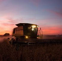 Fuerte apoyo de la Sociedad Rural a Milei: "Va a sacarle el pie de encima al sector agropecuario"
