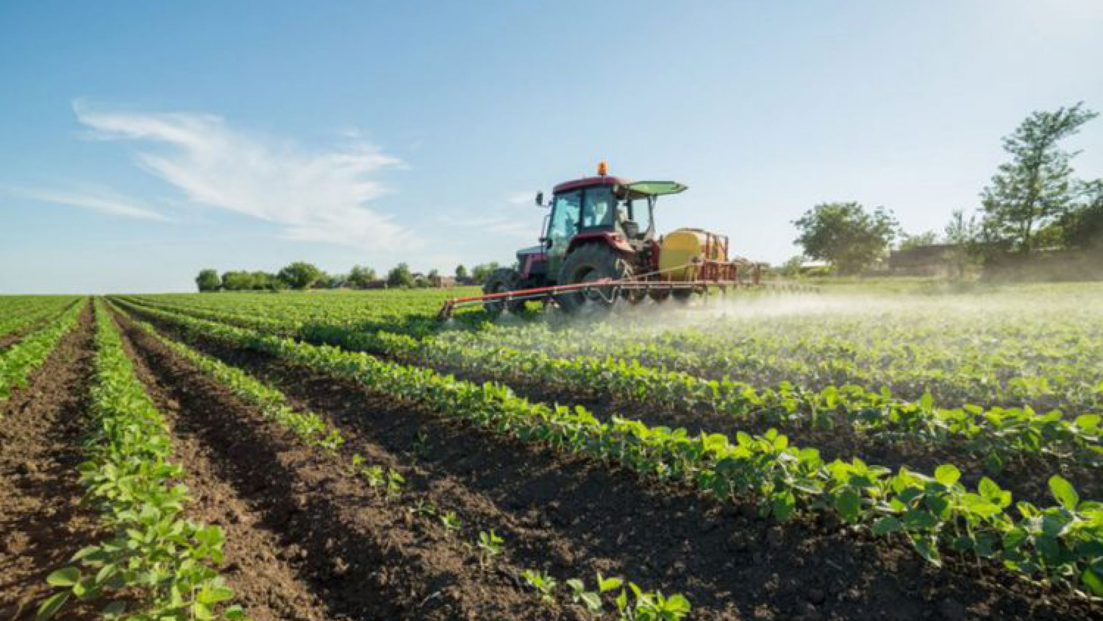 Habilitaron la feria judicial contra el DNU que libera la venta de tierras a extranjeros