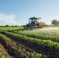 Habilitaron la feria judicial contra el DNU que libera la venta de tierras a extranjeros