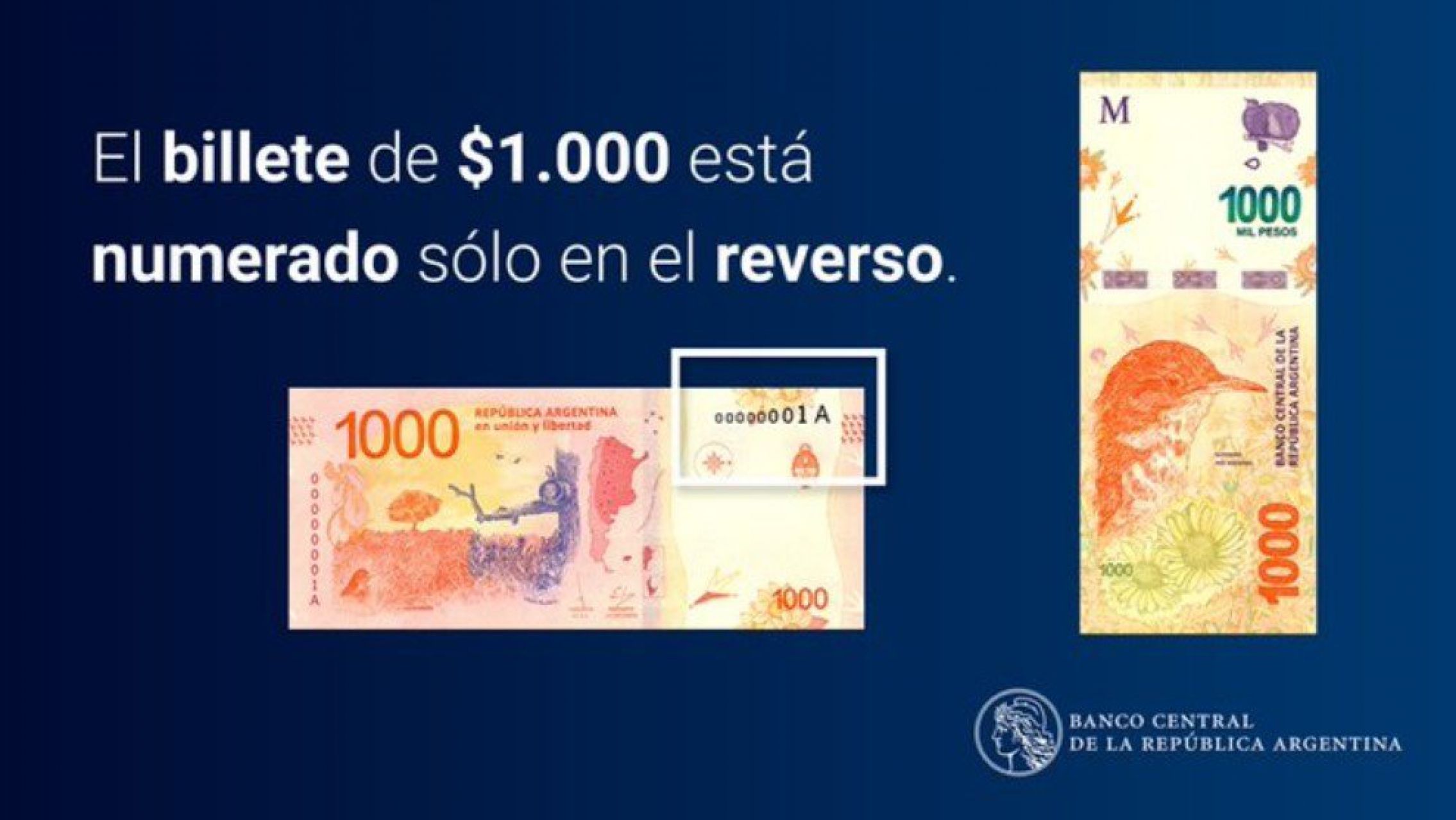 Alerta por bandas que introducen billetes falsos en el mercado