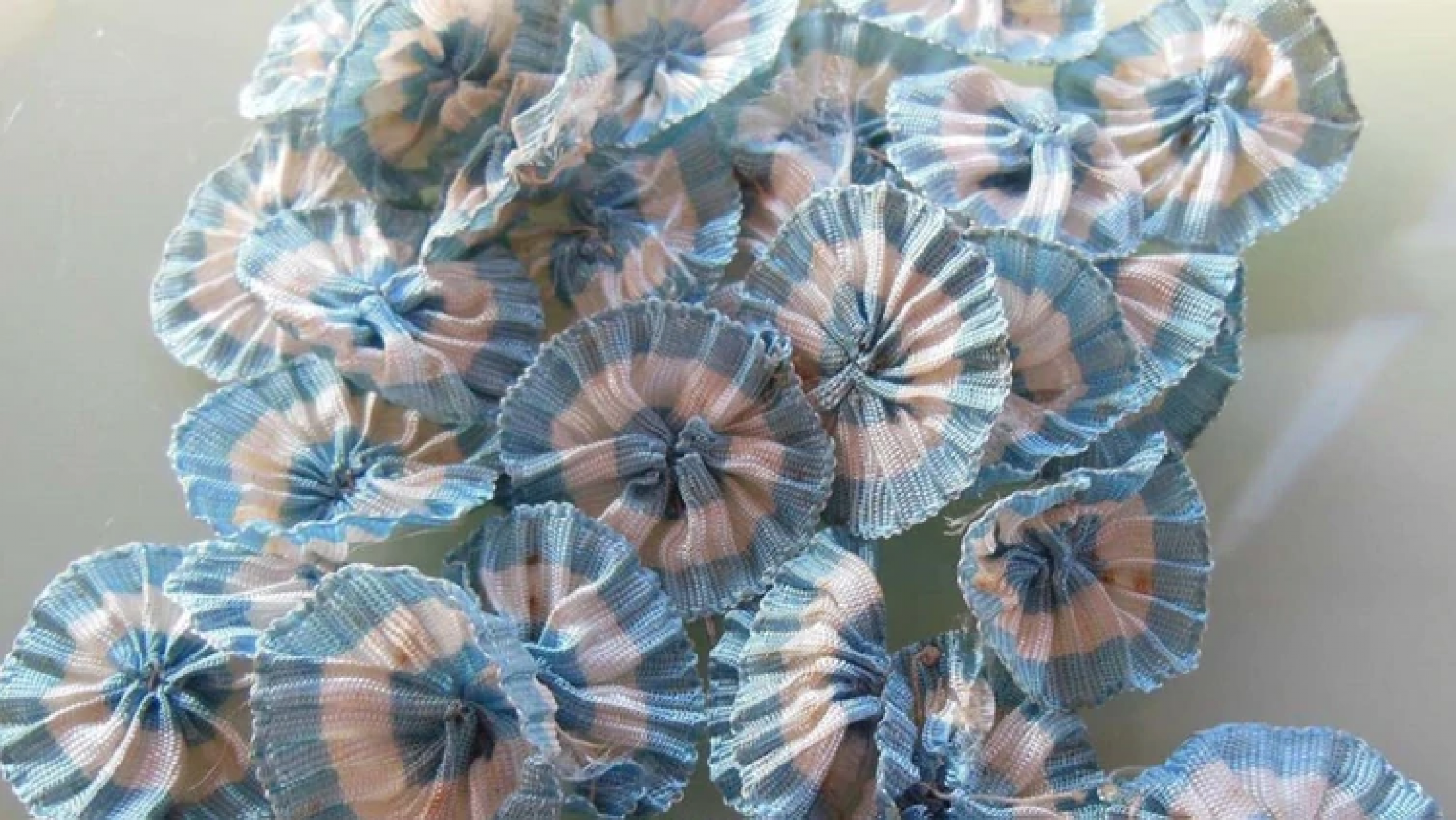 18 de Mayo: día de la Escarapela Nacional Argentina