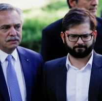 Se filtraron documentos militares chilenos en los que hablan de Argentina y Alberto Fernández