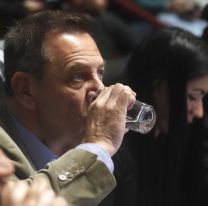 Un legislador de Milei pidió derogar las PASO y recordó a Macri que en 2019 pidió eliminarlas