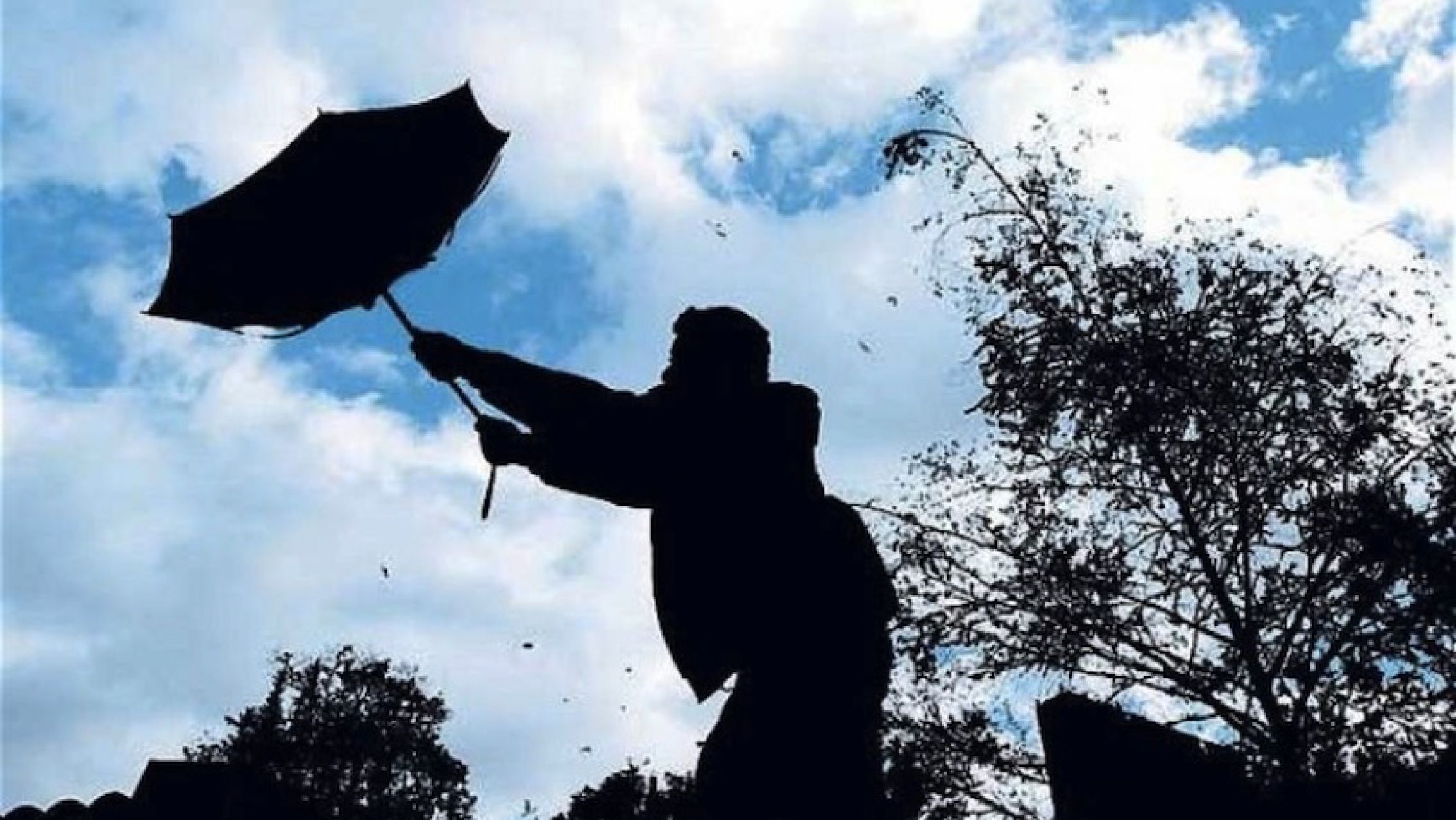 Alerta meteorológica por vientos fuertes: AMBA y nueve provincias afectadas