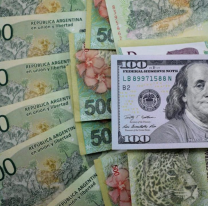 Alberto duplicó en dólares la deuda pública en pesos