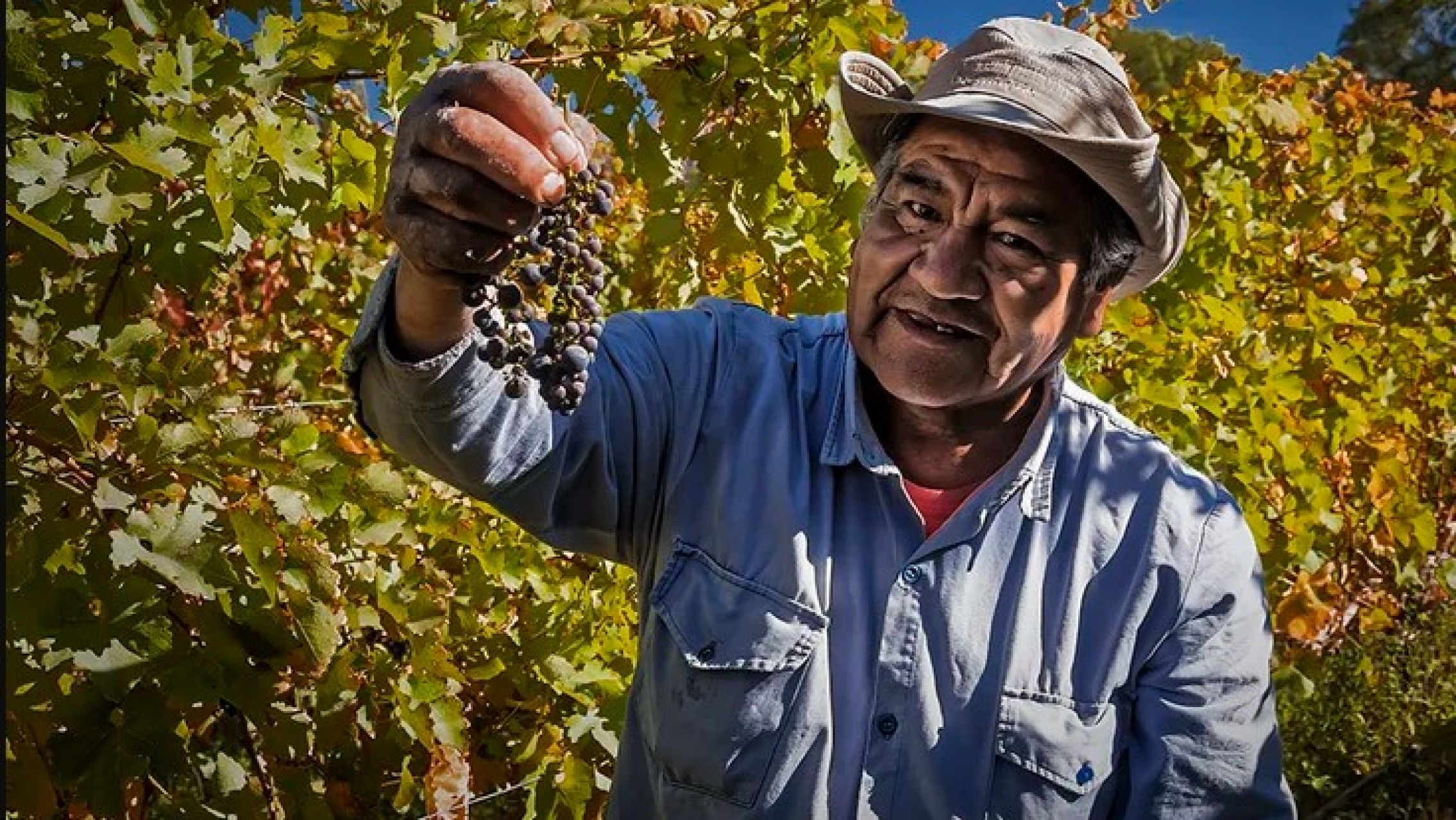 Un productor catamarqueño dijo que el litio "matará" a la vitivinicultura en la provincia