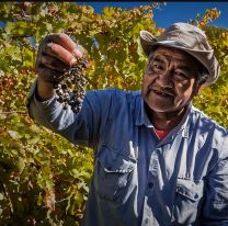 Un productor catamarqueño dijo que el litio "matará" a la vitivinicultura en la provincia