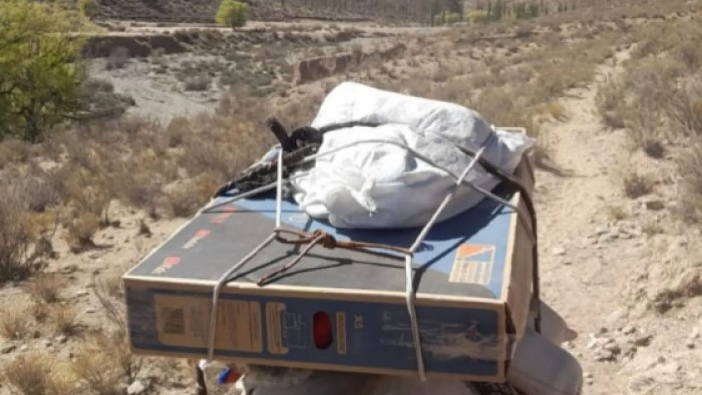 El insólito método de un intendente para que los chicos vean el Mundial: les mandó una tele en mula