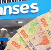 Anses: más de medio millón de personas accedieron al Refuerzo Alimentario