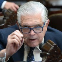 La oposición rechazó el artículo que proponía que los jueces pagaran ganancias