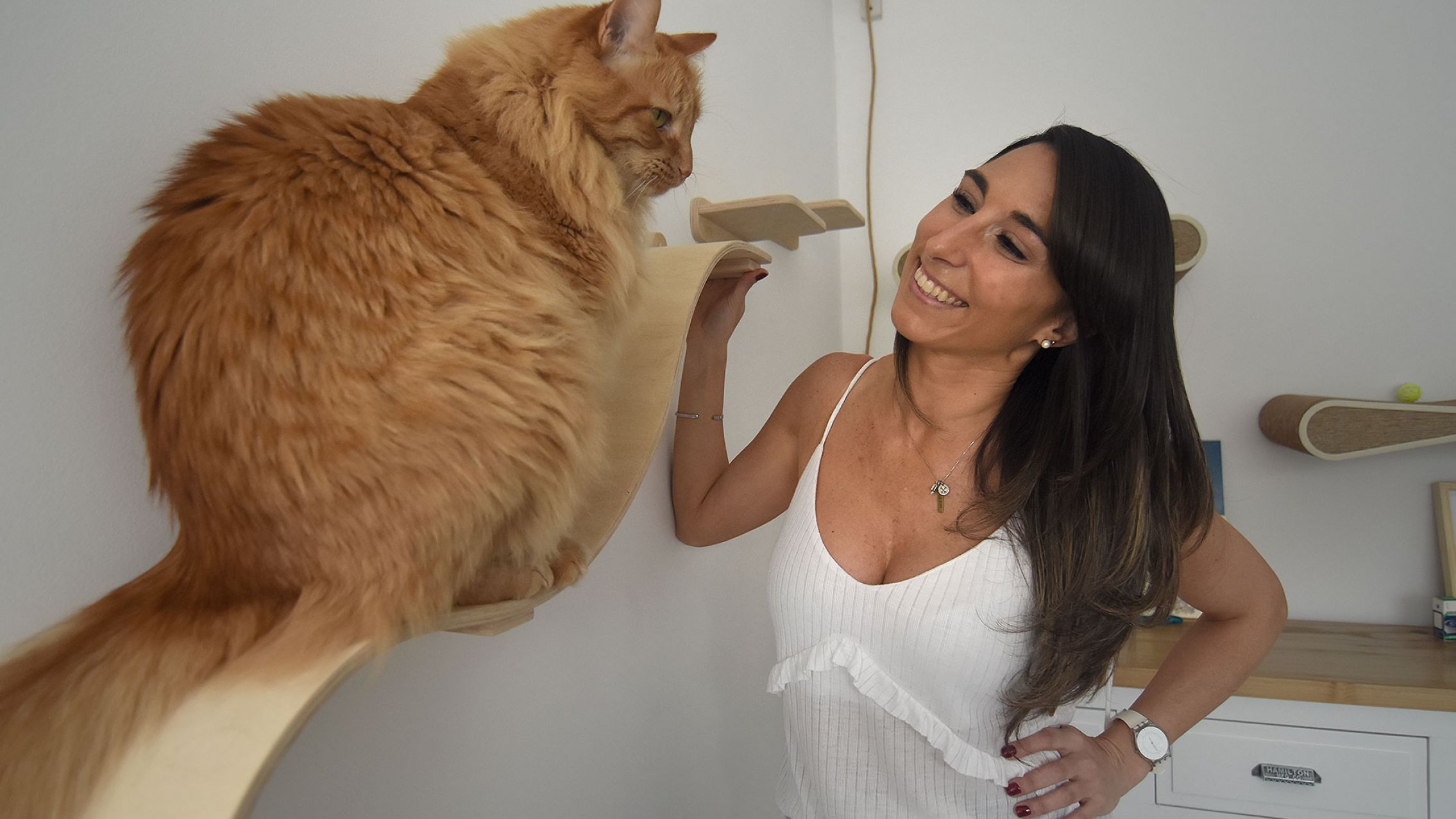 Es "psicóloga" de gatos y los conoce como nadie: "Tengo la capacidad de pensar como un felino"