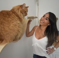 Es "psicóloga" de gatos y los conoce como nadie: "Tengo la capacidad de pensar como un felino"