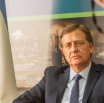 Mendoza llevará el caso de las "tierras mapuches" a la Corte Suprema