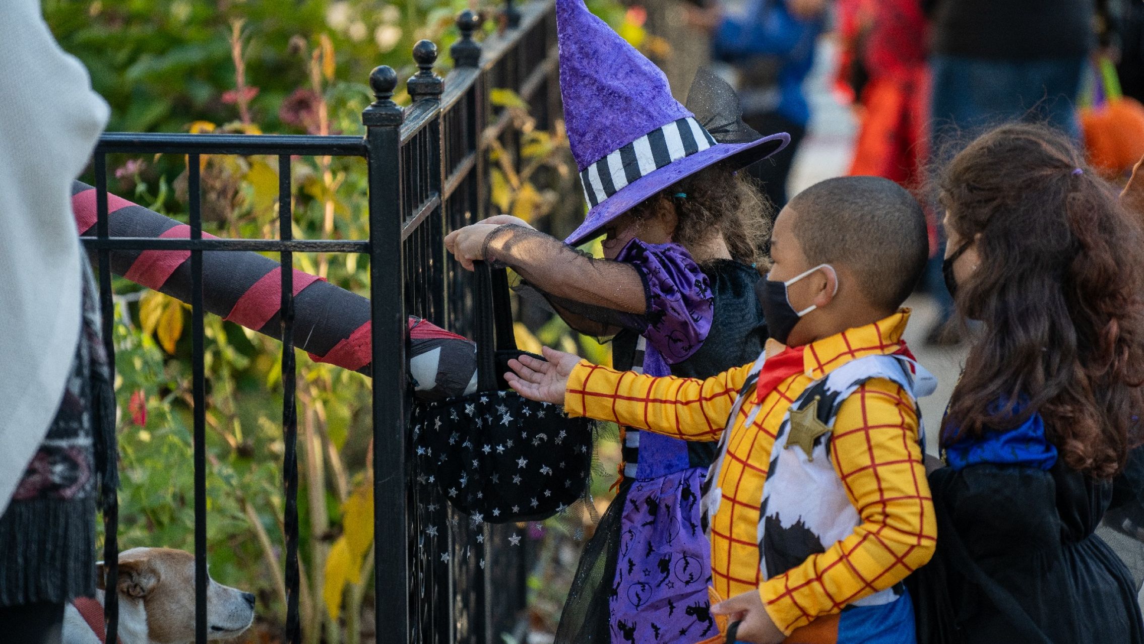Postales de Halloween: un tucumano echó niños a sifonazos