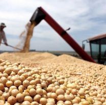 Agroexportadores superaron la meta de US$3.000 millones del dólar soja II y aún resta una semana