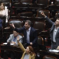 Escándalo en Diputados: se suspendió la sesión, en medio de insultos y amenazas de golpes