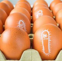 Preocupación tras el aumento de Salmonella en el país: cuál es la más complicada