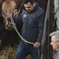 Massa enfrenta a La Rural y descarta el "dólar carne"