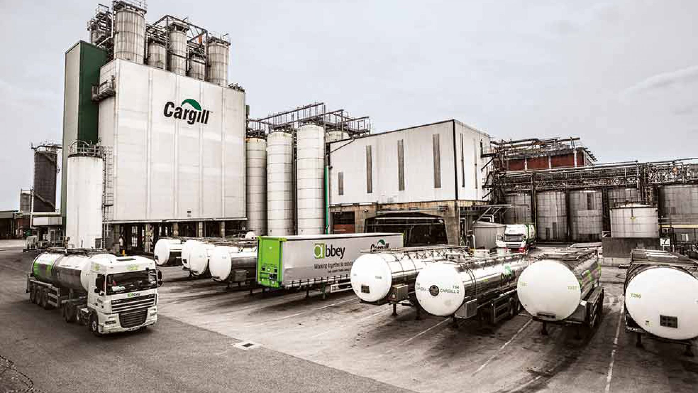 "Se rompió el cartel de precios", el Gobierno celebra las internas entre los formadores de precios