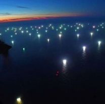 Saqueo chino en el mar argentino podría extinguir algunas especies: durísimo informe