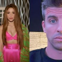 Shakira fulminó a Piqué y estos fueron los mejores memes de la red