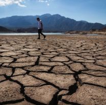 Sequía en Mendoza: aseguran que "la situación es crítica" y temen por la producción