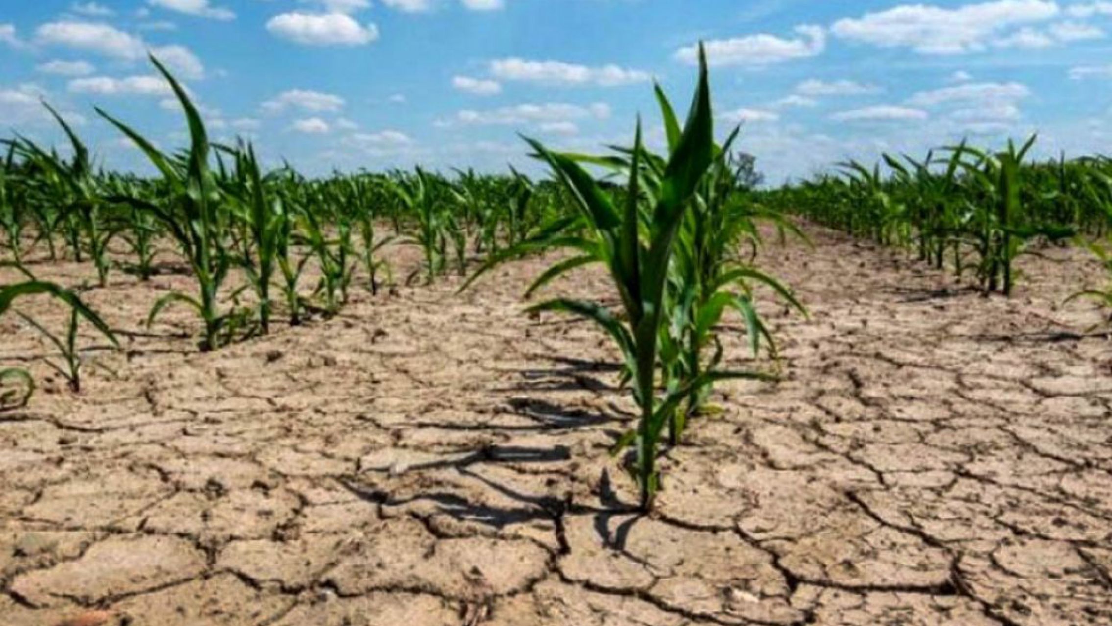 ¿Hizo alguna vez tanto calor en el pasado?