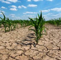 ¿Hizo alguna vez tanto calor en el pasado?