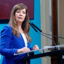 Cerruti habló de Venezuela y minimizó la violación a los DDHH: "No nos parece que está todo mal"