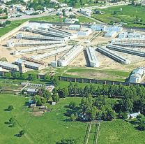 En caso de ir presos, los rugbiers irían a Sierra Chica, el penal donde cocinaban carne humana