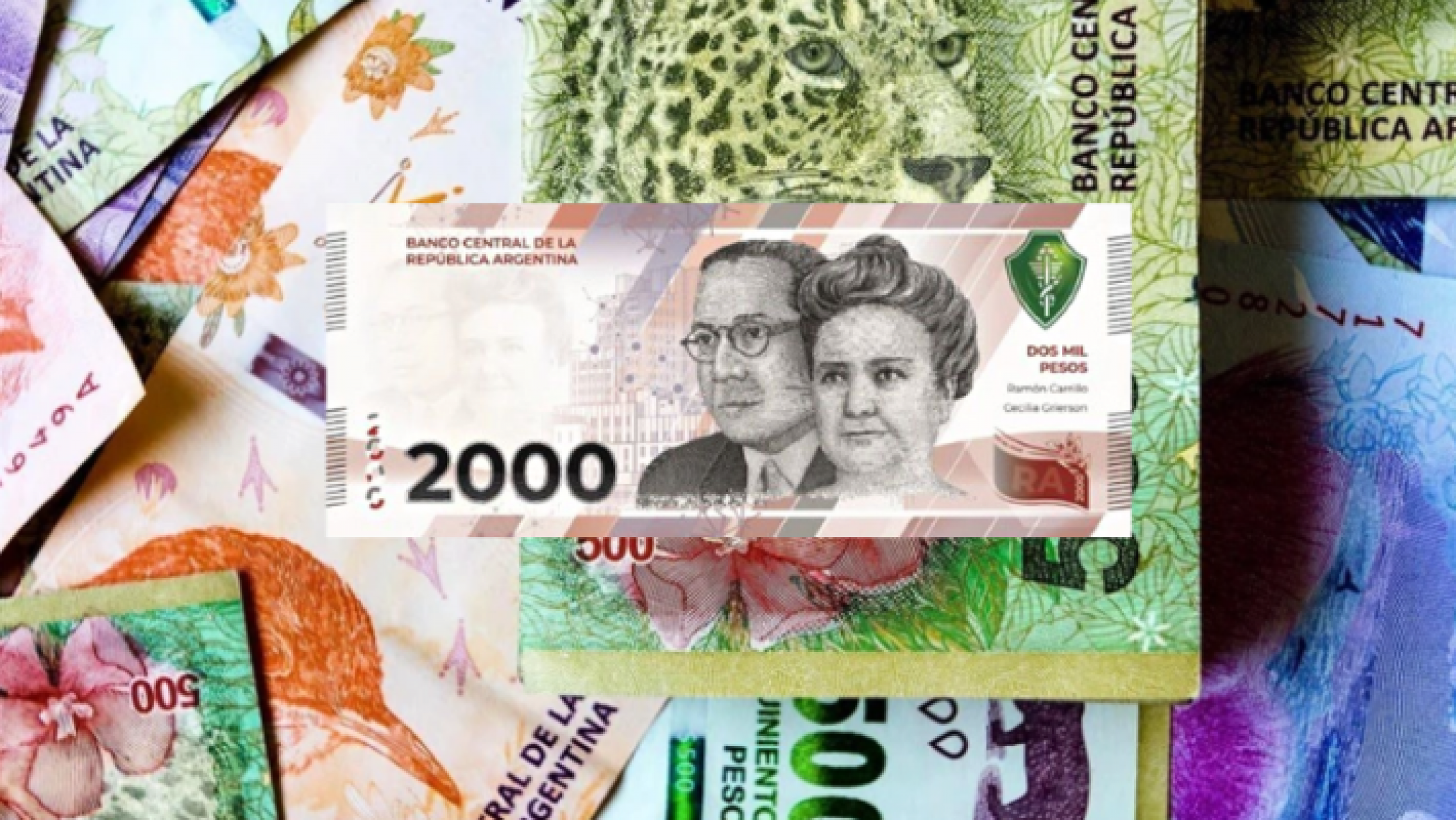 Plazo Fijo a 30 días: ¿Cuánto ganarías con una inversión de $100,000?