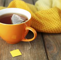 ¿Qué diferencias hay y cuántos tipos de té existen?