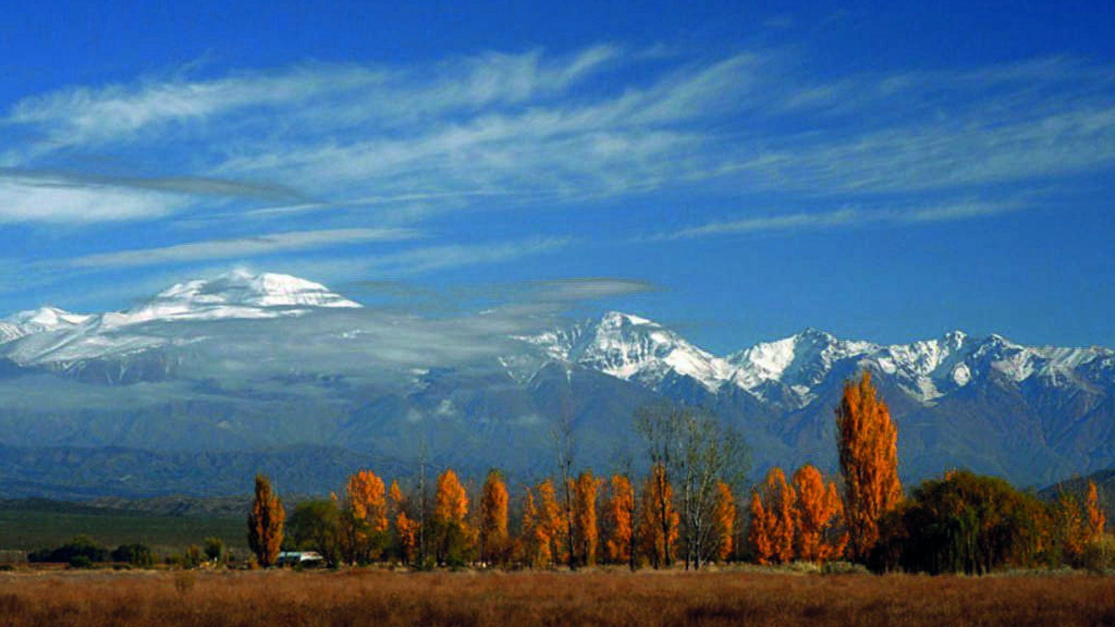 El Gobierno reconoció otras 4400 hectáreas a mapuches en Mendoza y genera gran rechazo