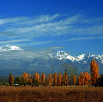 El Gobierno reconoció otras 4400 hectáreas a mapuches en Mendoza y genera gran rechazo