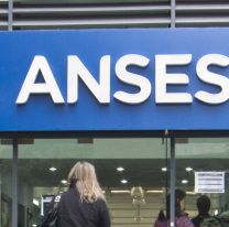 Anses no atiende al público: el motivo