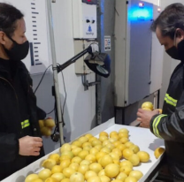 Por la guerra, el intercambio comercial de la Argentina con Ucrania y Rusia cayó más del 40%