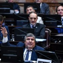 El Frente de Todos no consiguió quórum y cerró el período de Extraordinarias sin poder sesionar en el Senado