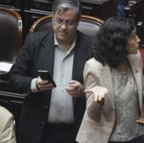 El oficialismo bloqueó un intento opositor de impedir el canje de deuda de Anses