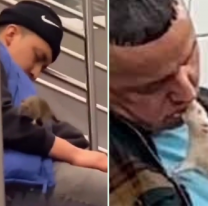 Plaga de ratas en Nueva York: la decisión para acabar con ellas