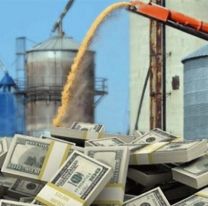 La Justicia avaló a la Aduana a suspender temporalmente a los agroexportadores que no liquiden