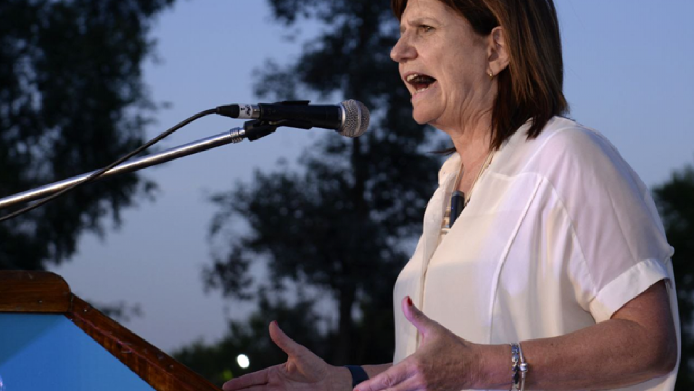 El enigmático plan económico "fake" difundido en nombre de Patricia Bullrich