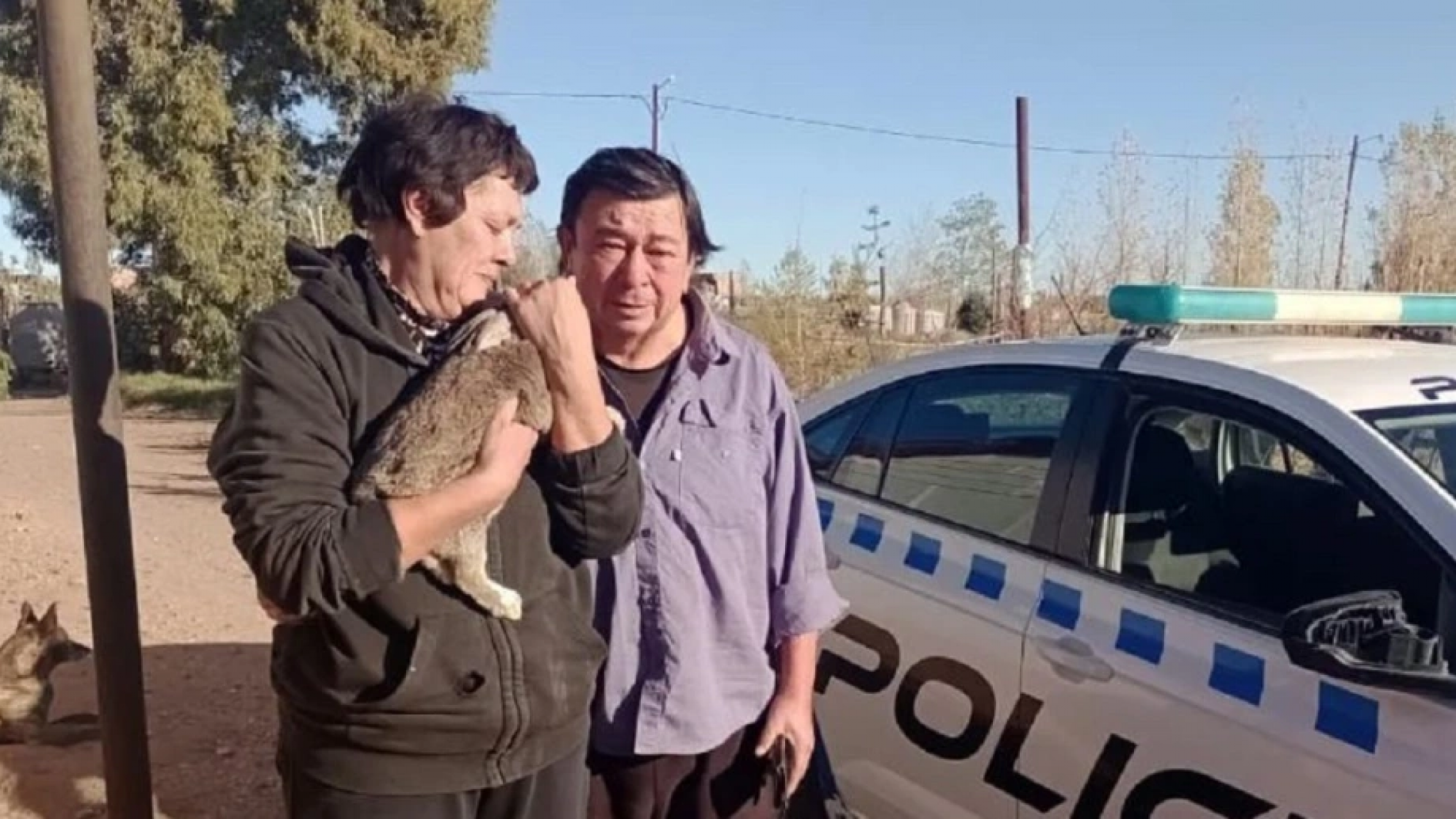 Robar... lo que sea: Entraron a la casa y se llevaron hasta la coneja