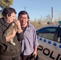 Robar... lo que sea: Entraron a la casa y se llevaron hasta la coneja