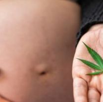 Detectaron cómo el consumo de marihuana en el embarazo afecta el peso de los bebés al nacer