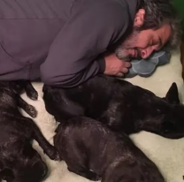 La tristeza de Ricardo Darín y su familia por la muerte de Ronko, su perro