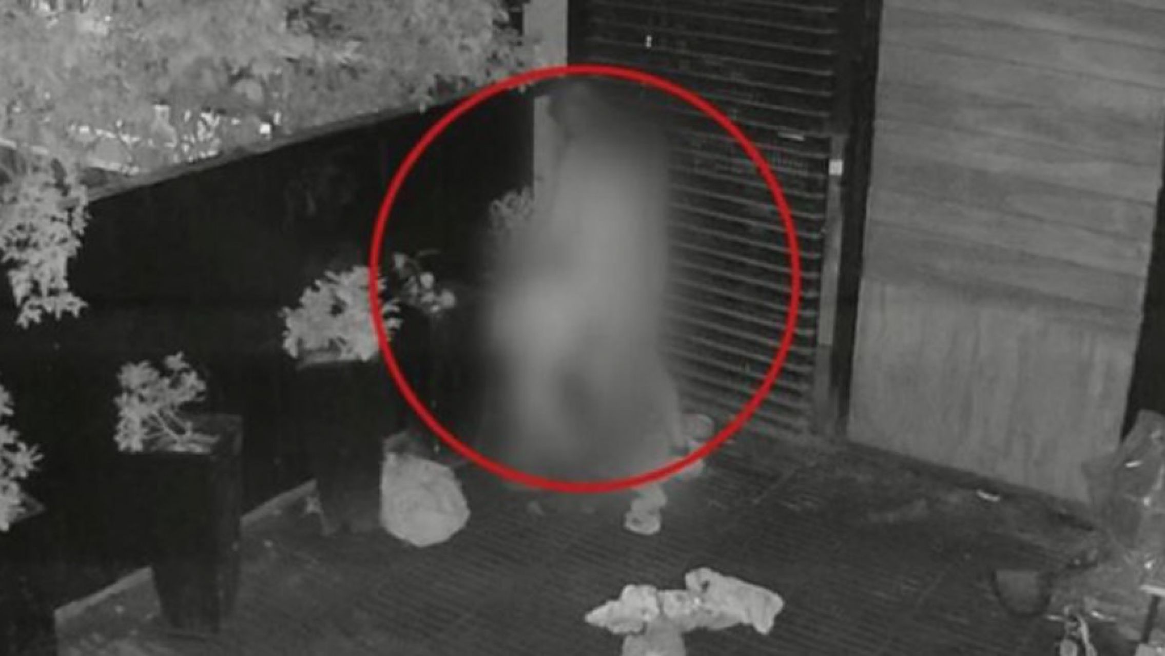 Córdoba: tuvieron relaciones sexuales en un bar y fueron filmados