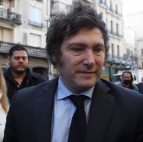 Preocupación en el peronismo por el derrumbe de Milei