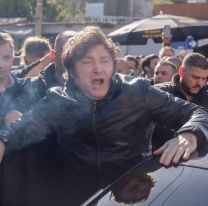 "Hay que evitar que gobierne la Argentina", las primeras repercusiones desde el oficialismo tras el batacazo de Milei